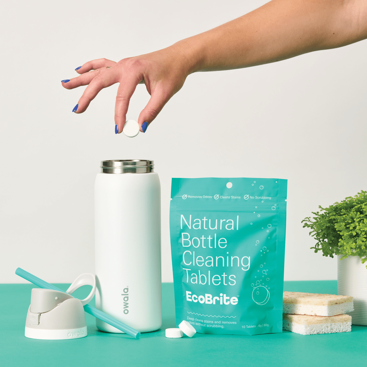 Person dropping EcoBrite tablet into bottle.